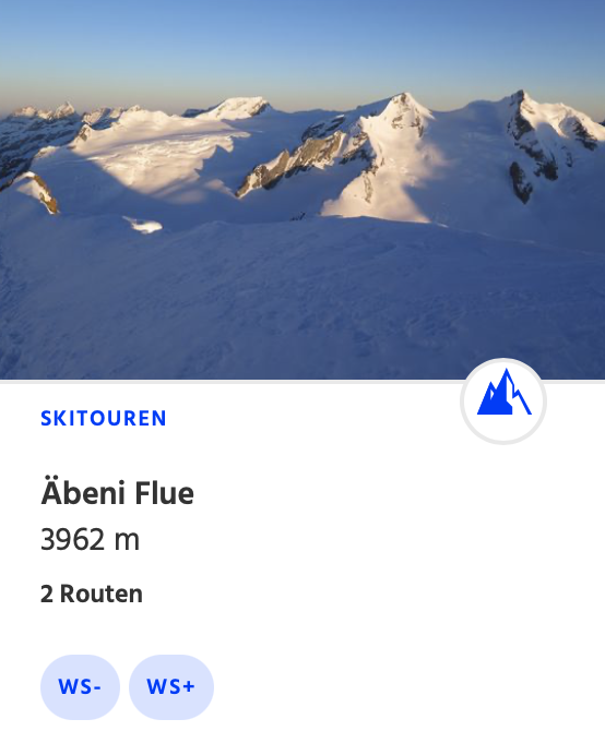 Grosses_Fiescherhorn